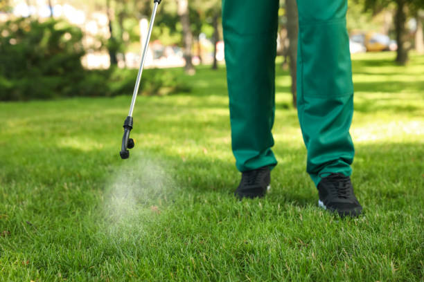 Best Residential Pest Control  in Fairlawn, OH