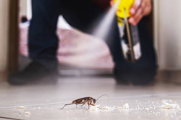 Trusted Fairlawn, OH Pest Control Experts